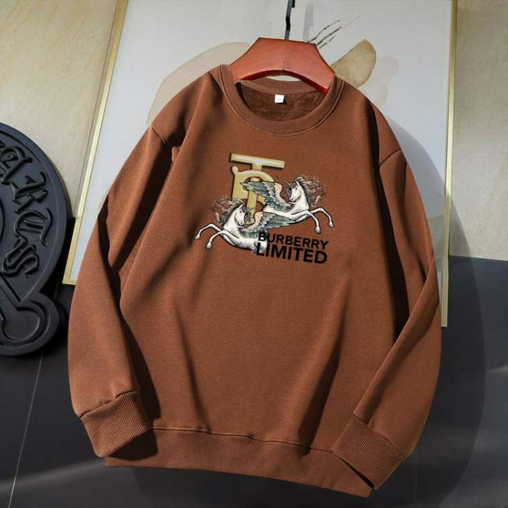 Picture of Burberry Sweatshirt _SKUBurberryM-5XL11Ln3230890